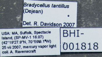 Media type: image;   Entomology 614557 Aspect: labels